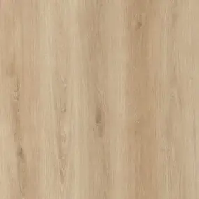 Regal Oak 
