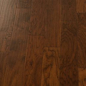  Chestnut - Hickory 