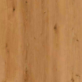 Sahara Oak 