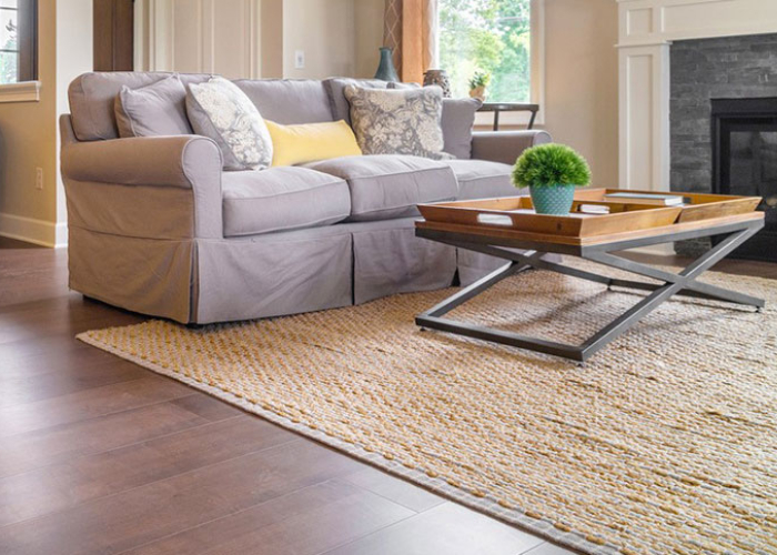 Area Rug in Living Room